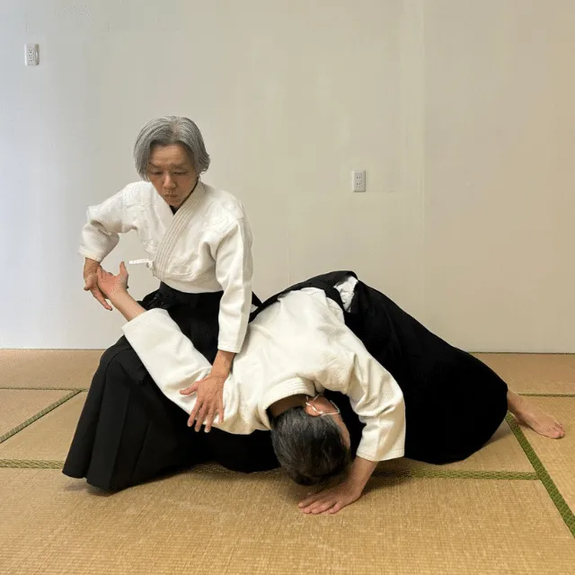 Aikido